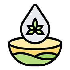 CBD Wellness