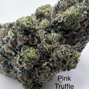 Indica