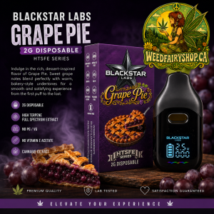 🍇 Blackstar Labs — Grape Pie | 2G Disposable